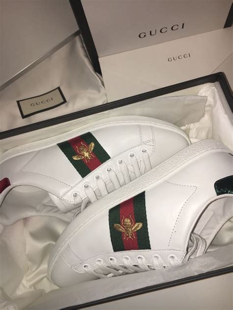 gucci sneakers pintrest